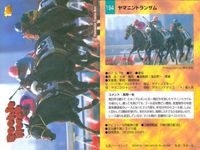 カード まとめ 競馬 サラブレッドカード 馬 イクノディクタス ダイイチルビー マックスビューティ シャダイソフィア ハギノトップレディ ヒシアマゾン ホクトベガ ヤマニントランザム キュンティア サムネイル 9