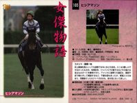 カード まとめ 競馬 サラブレッドカード 馬 イクノディクタス ダイイチルビー マックスビューティ シャダイソフィア ハギノトップレディ ヒシアマゾン ホクトベガ ヤマニントランザム キュンティア サムネイル 7