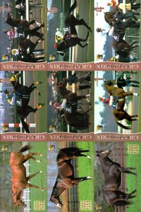 カード まとめ 競馬 サラブレッドカード 馬 オースミタイクーン スティゴールド ダイワオーシュウ エアグルーヴ グラスワンダー マチカネフクキタル ジェネラス カーネギー サクラチトセオー サムネイル 1