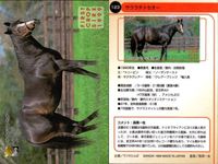 カード まとめ 競馬 サラブレッドカード 馬 オースミタイクーン スティゴールド ダイワオーシュウ エアグルーヴ グラスワンダー マチカネフクキタル ジェネラス カーネギー サクラチトセオー サムネイル 10