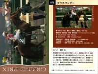 カード まとめ 競馬 サラブレッドカード 馬 オースミタイクーン スティゴールド ダイワオーシュウ エアグルーヴ グラスワンダー マチカネフクキタル ジェネラス カーネギー サクラチトセオー サムネイル 6