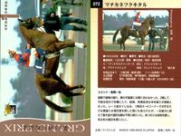 カード まとめ 競馬 サラブレッドカード 馬 オースミタイクーン スティゴールド ダイワオーシュウ エアグルーヴ グラスワンダー マチカネフクキタル ジェネラス カーネギー サクラチトセオー サムネイル 7