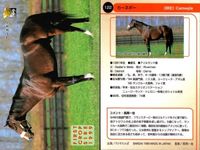 カード まとめ 競馬 サラブレッドカード 馬 オースミタイクーン スティゴールド ダイワオーシュウ エアグルーヴ グラスワンダー マチカネフクキタル ジェネラス カーネギー サクラチトセオー サムネイル 9