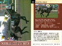 カード まとめ 競馬 サラブレッドカード 馬 エモシオン ビッグサンデー メジロドーベル キングヘイロー ユーセイトップラン セイウンスカイ メジロブライト サンライズフラッグ シルクジャスティス サムネイル 7