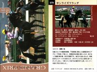 カード まとめ 競馬 サラブレッドカード 馬 エモシオン ビッグサンデー メジロドーベル キングヘイロー ユーセイトップラン セイウンスカイ メジロブライト サンライズフラッグ シルクジャスティス サムネイル 9