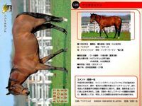 カード まとめ 競馬 サラブレッドカード 馬 ティンバーカントリー フォーティーナイナー タツヨン ナリタタイシン オジシアン トニービン ブライアンズタイム ヘクタープロテクター スキャン サムネイル 5