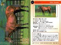 カード まとめ 競馬 サラブレッドカード 馬 ティンバーカントリー フォーティーナイナー タツヨン ナリタタイシン オジシアン トニービン ブライアンズタイム ヘクタープロテクター スキャン サムネイル 6
