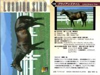 カード まとめ 競馬 サラブレッドカード 馬 ティンバーカントリー フォーティーナイナー タツヨン ナリタタイシン オジシアン トニービン ブライアンズタイム ヘクタープロテクター スキャン サムネイル 8