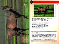 カード まとめ 競馬 サラブレッドカード 馬 ティンバーカントリー フォーティーナイナー タツヨン ナリタタイシン オジシアン トニービン ブライアンズタイム ヘクタープロテクター スキャン サムネイル 4