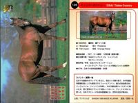 カード まとめ 競馬 サラブレッドカード 馬 ティンバーカントリー フォーティーナイナー タツヨン ナリタタイシン オジシアン トニービン ブライアンズタイム ヘクタープロテクター スキャン サムネイル 2