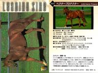 カード まとめ 競馬 サラブレッドカード 馬 ティンバーカントリー フォーティーナイナー タツヨン ナリタタイシン オジシアン トニービン ブライアンズタイム ヘクタープロテクター スキャン サムネイル 9