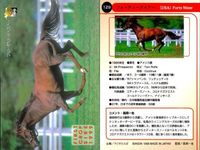 カード まとめ 競馬 サラブレッドカード 馬 ティンバーカントリー フォーティーナイナー タツヨン ナリタタイシン オジシアン トニービン ブライアンズタイム ヘクタープロテクター スキャン サムネイル 3