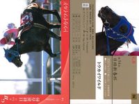 カード まとめ 競馬 サラブレッドカード 馬 トウカイワイルド 第54回日経新春杯 アサクサキングス 第47回きさらぎ賞 ビッググラス 第21回根岸S サムネイル 4