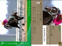 カード まとめ 競馬 サラブレッドカード 馬 トウカイワイルド 第54回日経新春杯 アサクサキングス 第47回きさらぎ賞 ビッググラス 第21回根岸S サムネイル 3