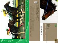カード まとめ 競馬 サラブレッドカード 馬 トウカイワイルド 第54回日経新春杯 アサクサキングス 第47回きさらぎ賞 ビッググラス 第21回根岸S サムネイル 2