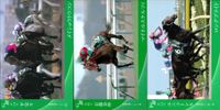 カード まとめ 競馬 サラブレッドカード 馬 ペリエールヘメト 第14回S本 マイネルスケルツィ 第45回京都金杯 ロングプライド 第12回ユニコーンS サムネイル 1
