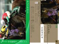 カード まとめ 競馬 サラブレッドカード 馬 ブラックバースピン 第43回CBC賞 マイネサマンサ 第25回中山牝馬S アイポッパー 第55回阪神大賞典 サムネイル 3