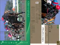 カード まとめ 競馬 サラブレッドカード 馬 ブラックバースピン 第43回CBC賞 マイネサマンサ 第25回中山牝馬S アイポッパー 第55回阪神大賞典 サムネイル 4