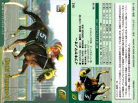 カード まとめ 競馬 サラブレッドカード 馬 ミスズシャルダン イブキヤマノオー ナスダックパワー ロードクノス チェックメイト タイムフェアレディ ダービーレグノ サイレントハンター クロフネ サムネイル 3