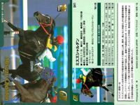 カード まとめ 競馬 サラブレッドカード 馬 ミスズシャルダン イブキヤマノオー ナスダックパワー ロードクノス チェックメイト タイムフェアレディ ダービーレグノ サイレントハンター クロフネ サムネイル 2