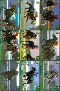 カード まとめ 競馬 サラブレッドカード 馬 ミスズシャルダン イブキヤマノオー ナスダックパワー ロードクノス チェックメイト タイムフェアレディ ダービーレグノ サイレントハンター クロフネ サムネイル 1