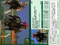 カード まとめ 競馬 サラブレッドカード 馬 ミスズシャルダン イブキヤマノオー ナスダックパワー ロードクノス チェックメイト タイムフェアレディ ダービーレグノ サイレントハンター クロフネ サムネイル 4