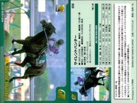 カード まとめ 競馬 サラブレッドカード 馬 ミスズシャルダン イブキヤマノオー ナスダックパワー ロードクノス チェックメイト タイムフェアレディ ダービーレグノ サイレントハンター クロフネ サムネイル 9