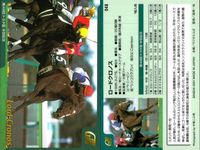 カード まとめ 競馬 サラブレッドカード 馬 ミスズシャルダン イブキヤマノオー ナスダックパワー ロードクノス チェックメイト タイムフェアレディ ダービーレグノ サイレントハンター クロフネ サムネイル 5