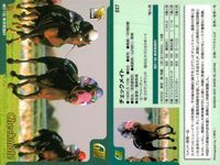 カード まとめ 競馬 サラブレッドカード 馬 ミスズシャルダン イブキヤマノオー ナスダックパワー ロードクノス チェックメイト タイムフェアレディ ダービーレグノ サイレントハンター クロフネ サムネイル 6