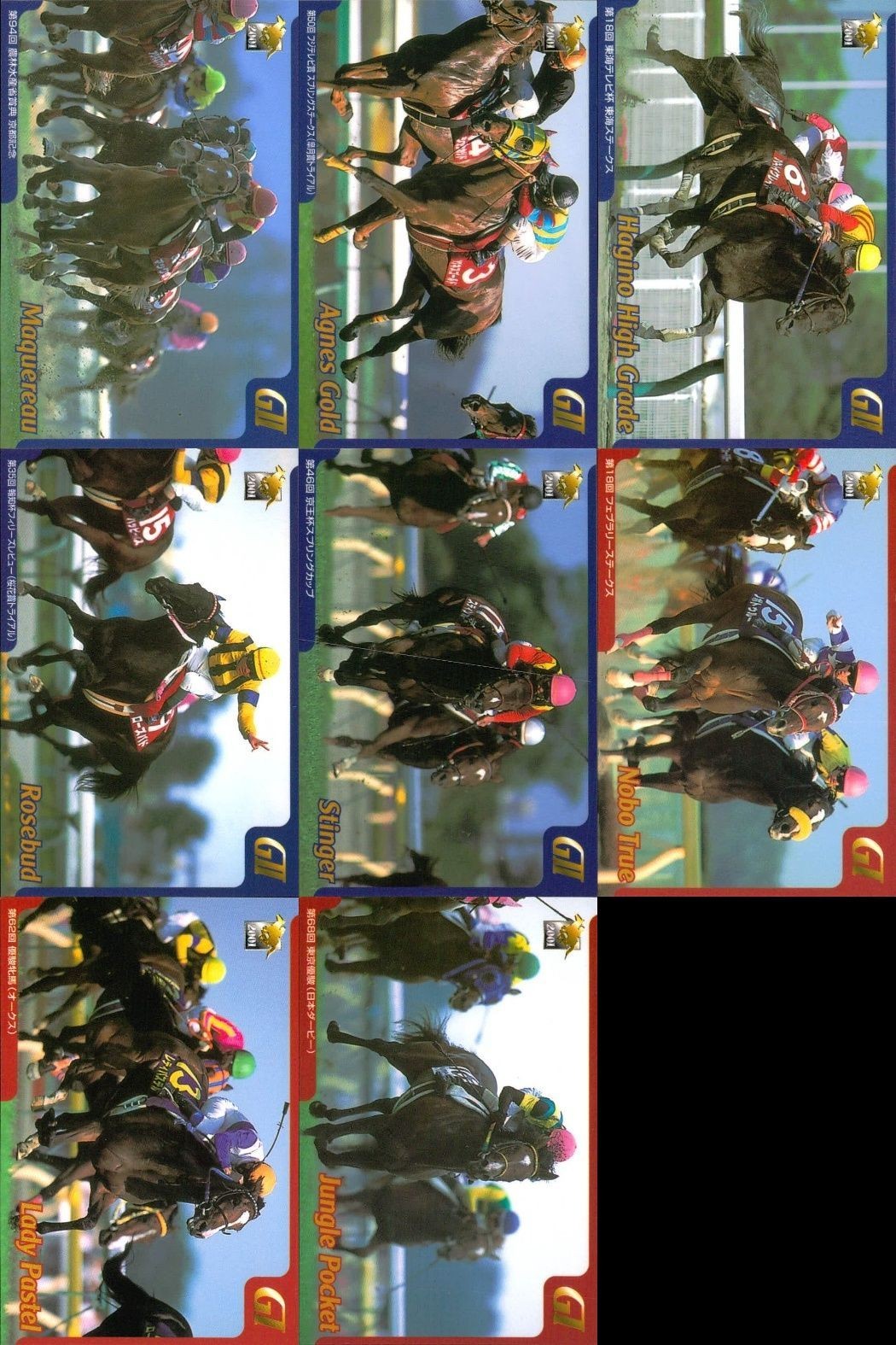 カード まとめ 競馬 サラブレッドカード 馬 マックロウ アグネスゴールド ハギノハイブレイド ローズバド スティンガー ノボトゥルー レディパステル ジャングルポケット