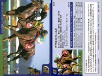カード まとめ 競馬 サラブレッドカード 馬 マックロウ アグネスゴールド ハギノハイブレイド ローズバド スティンガー ノボトゥルー レディパステル ジャングルポケット サムネイル 3