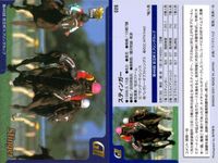 カード まとめ 競馬 サラブレッドカード 馬 マックロウ アグネスゴールド ハギノハイブレイド ローズバド スティンガー ノボトゥルー レディパステル ジャングルポケット サムネイル 6