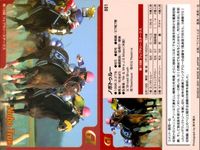 カード まとめ 競馬 サラブレッドカード 馬 マックロウ アグネスゴールド ハギノハイブレイド ローズバド スティンガー ノボトゥルー レディパステル ジャングルポケット サムネイル 7