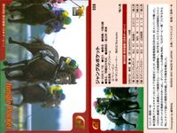 カード まとめ 競馬 サラブレッドカード 馬 マックロウ アグネスゴールド ハギノハイブレイド ローズバド スティンガー ノボトゥルー レディパステル ジャングルポケット サムネイル 9