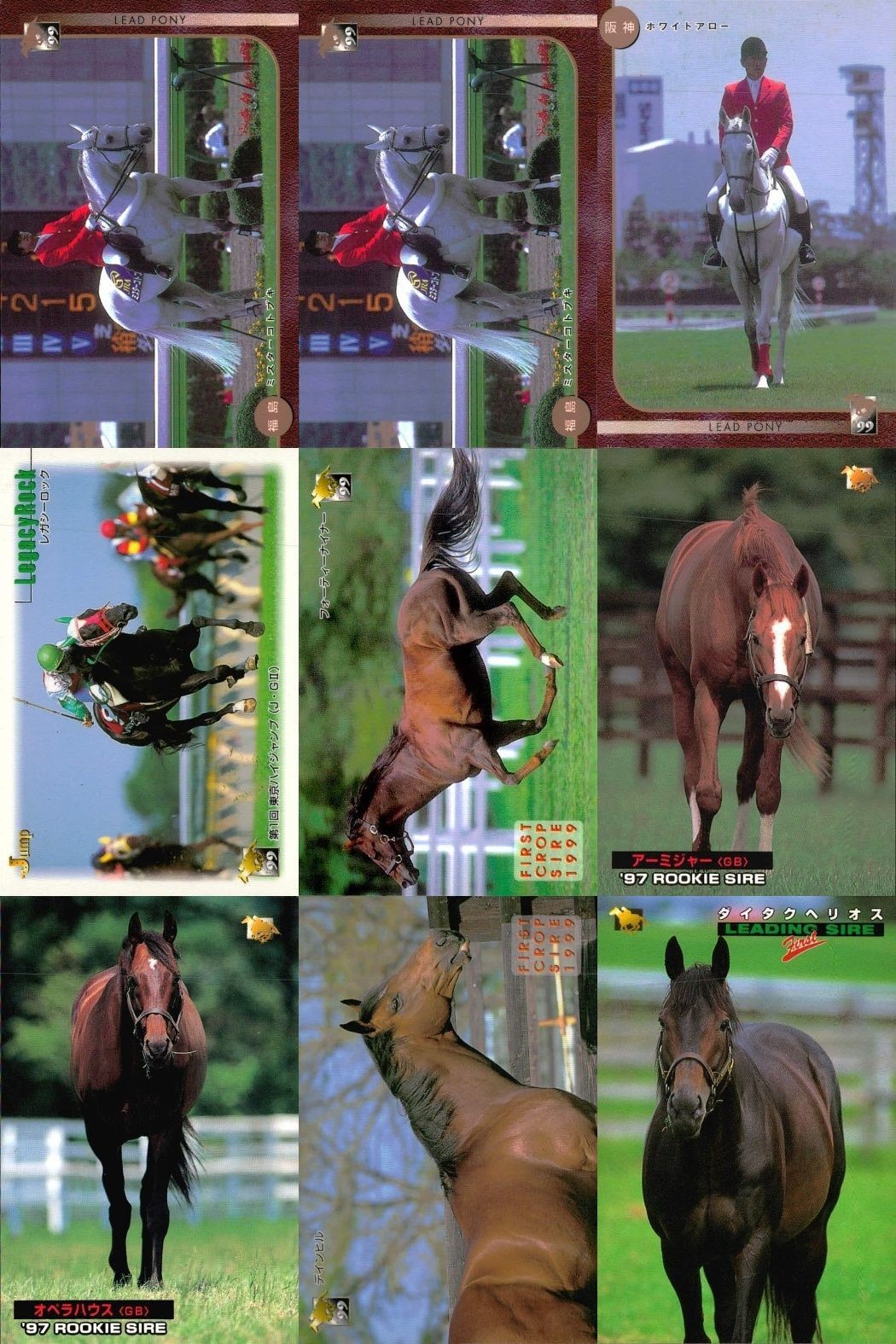 カード まとめ 競馬 サラブレッドカード 馬 ミスターコトブキ ホワイトアロー レガシーロック フォーティーナイナー アーミジャー オペラハウス デインヒル ダイタクヘリオス