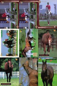 カード まとめ 競馬 サラブレッドカード 馬 ミスターコトブキ ホワイトアロー レガシーロック フォーティーナイナー アーミジャー オペラハウス デインヒル ダイタクヘリオス サムネイル 1