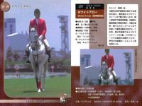 カード まとめ 競馬 サラブレッドカード 馬 ミスターコトブキ ホワイトアロー レガシーロック フォーティーナイナー アーミジャー オペラハウス デインヒル ダイタクヘリオス サムネイル 4