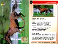 カード まとめ 競馬 サラブレッドカード 馬 ミスターコトブキ ホワイトアロー レガシーロック フォーティーナイナー アーミジャー オペラハウス デインヒル ダイタクヘリオス サムネイル 6