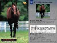 カード まとめ 競馬 サラブレッドカード 馬 ミスターコトブキ ホワイトアロー レガシーロック フォーティーナイナー アーミジャー オペラハウス デインヒル ダイタクヘリオス サムネイル 8