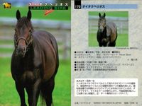 カード まとめ 競馬 サラブレッドカード 馬 ミスターコトブキ ホワイトアロー レガシーロック フォーティーナイナー アーミジャー オペラハウス デインヒル ダイタクヘリオス サムネイル 10