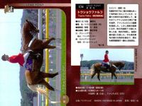 カード まとめ 競馬 サラブレッドカード 馬 サイレントハンター グラスワンダー ワンダーファング タイイーグル トウショウアルコ トウショウディアス ホワイトアロー ロングシング シルバーフィールド サムネイル 6