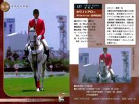 カード まとめ 競馬 サラブレッドカード 馬 サイレントハンター グラスワンダー ワンダーファング タイイーグル トウショウアルコ トウショウディアス ホワイトアロー ロングシング シルバーフィールド サムネイル 8