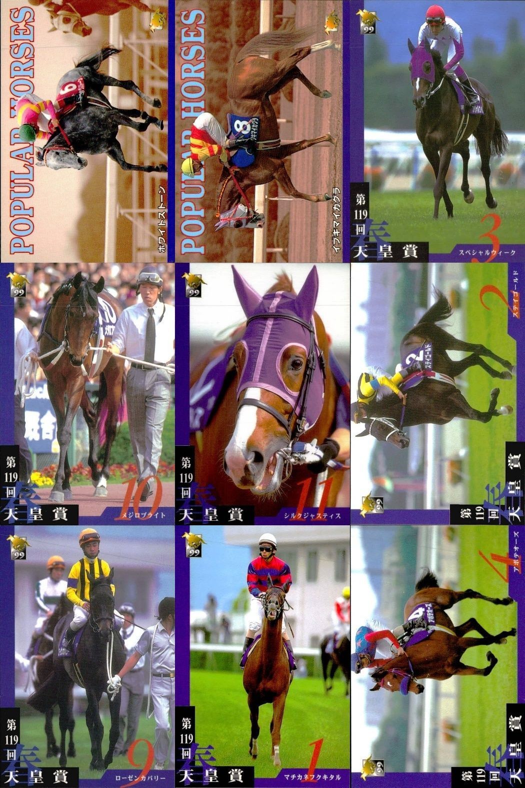 カード まとめ 競馬 サラブレッドカード 馬 ホワイトストーン イブキマイカグラ スペシャルウィーク メジロブライト シルクジャスティス ステイゴールド ローゼンカバリー マチカネフクキタル アポテーオーズ