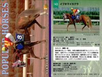 カード まとめ 競馬 サラブレッドカード 馬 ホワイトストーン イブキマイカグラ スペシャルウィーク メジロブライト シルクジャスティス ステイゴールド ローゼンカバリー マチカネフクキタル アポテーオーズ サムネイル 3
