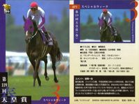 カード まとめ 競馬 サラブレッドカード 馬 ホワイトストーン イブキマイカグラ スペシャルウィーク メジロブライト シルクジャスティス ステイゴールド ローゼンカバリー マチカネフクキタル アポテーオーズ サムネイル 4