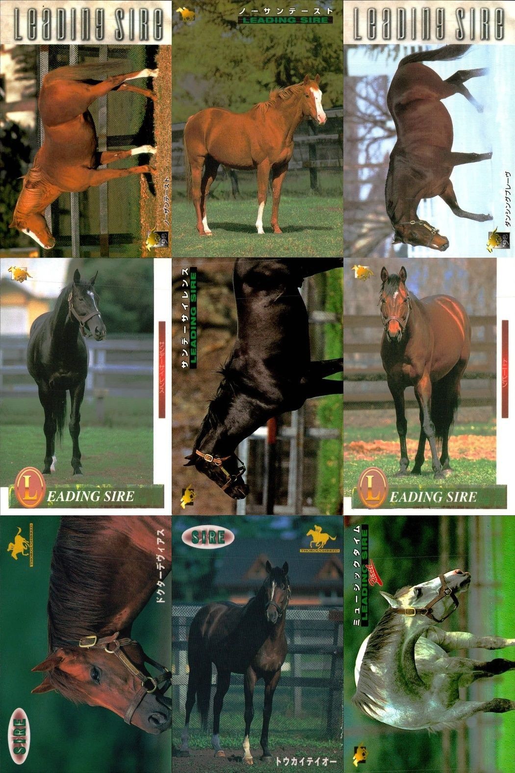 カード まとめ 競馬 サラブレッドカード 馬 ノーザンテースト ダンシングブレーヴ サンデーサイレンス トニービン ドクターデヴィアス トウカイテイオー ミュージックタイム