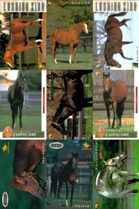 カード まとめ 競馬 サラブレッドカード 馬 ノーザンテースト ダンシングブレーヴ サンデーサイレンス トニービン ドクターデヴィアス トウカイテイオー ミュージックタイム サムネイル 1