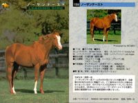 カード まとめ 競馬 サラブレッドカード 馬 ノーザンテースト ダンシングブレーヴ サンデーサイレンス トニービン ドクターデヴィアス トウカイテイオー ミュージックタイム サムネイル 3