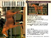 カード まとめ 競馬 サラブレッドカード 馬 ノーザンテースト ダンシングブレーヴ サンデーサイレンス トニービン ドクターデヴィアス トウカイテイオー ミュージックタイム サムネイル 2