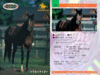 カード まとめ 競馬 サラブレッドカード 馬 ノーザンテースト ダンシングブレーヴ サンデーサイレンス トニービン ドクターデヴィアス トウカイテイオー ミュージックタイム サムネイル 9
